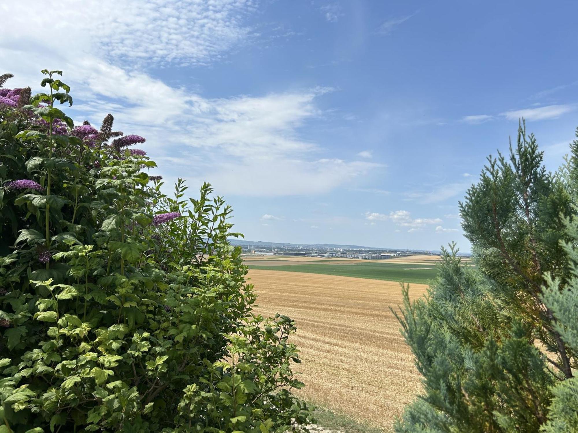 Happy Vila Cernay-les-Reims Exterior foto